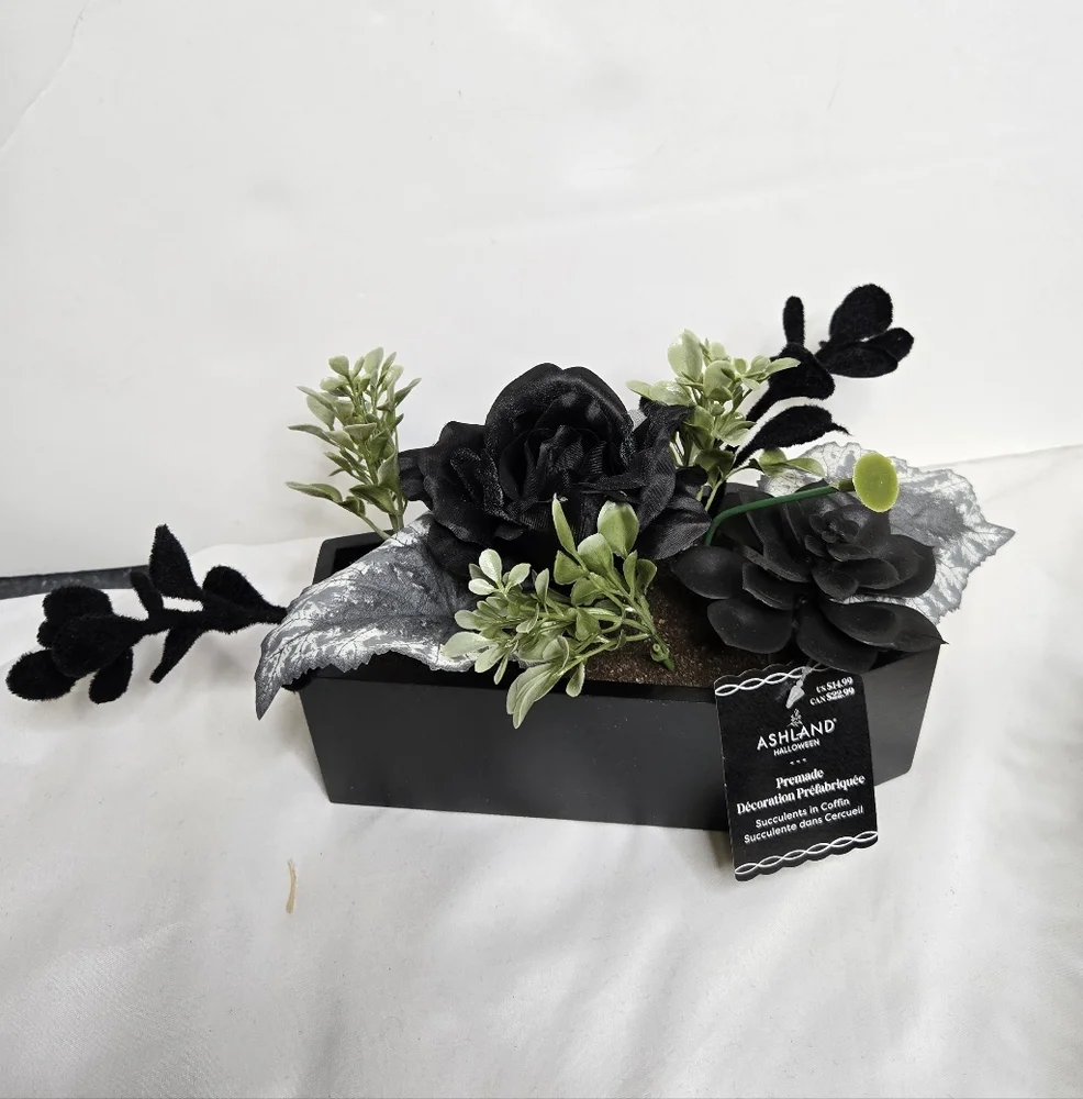 NEW Ashland Halloween premade goth succlents and flowers in‎ black coffin decor